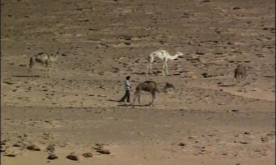saharawi _12